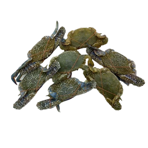 Crab -04